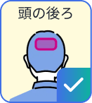頭の後ろに対応