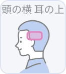 頭の横・耳の上は対象外