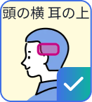頭の横・耳の上に対応