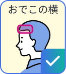 おでこの横に対応