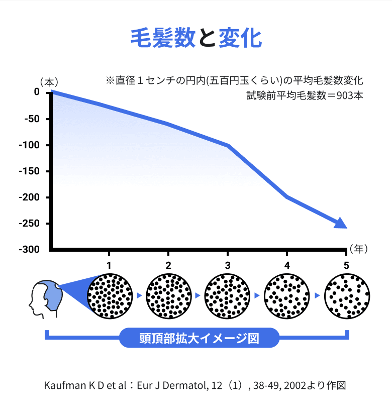 毛髪数と変化