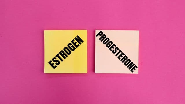 エストロゲンとプロゲステロンとは？女性ホルモンについてわかりやすく解説
