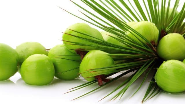 ノコギリヤシははげに効果はある？実情と注意点を解説