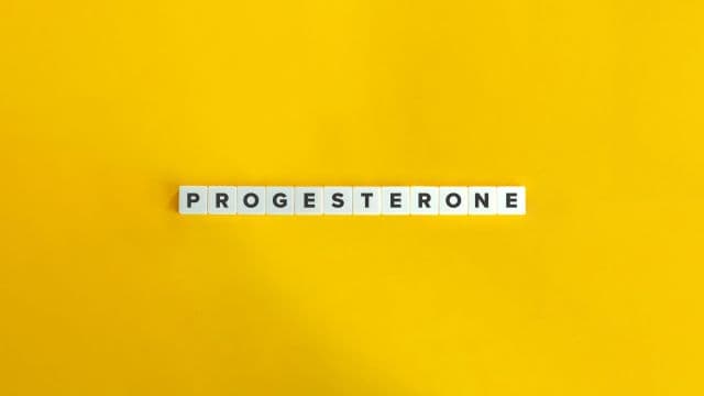 プロゲステロン・エストロゲンとは？作用や生理周期における変化を解説