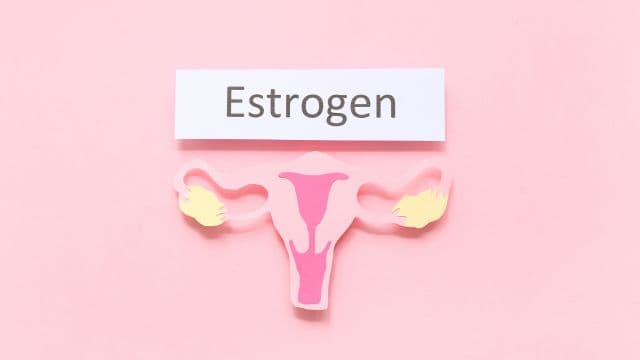 エストロゲンの増やし方は？ホルモンバランスを整える方法を解説