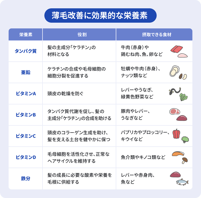 薄毛改善に効果的なタンパク質、亜鉛、ビタミンA、B、C、Eの各栄養素について、髪の成長における役割とそれらを摂取できる具体的な食材の一覧表のイメージ