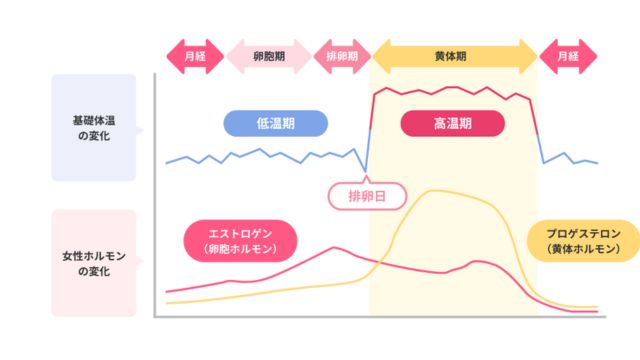 基礎体温と女性ホルモンの変化のイメージ