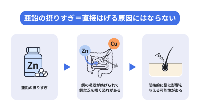 亜鉛の摂りすぎ=直接はげる原因にはならない(亜鉛の摂りすぎ→銅の吸収が妨げられて銅欠乏を招く恐れがある→間接的に髪に影響を与える可能性がある)