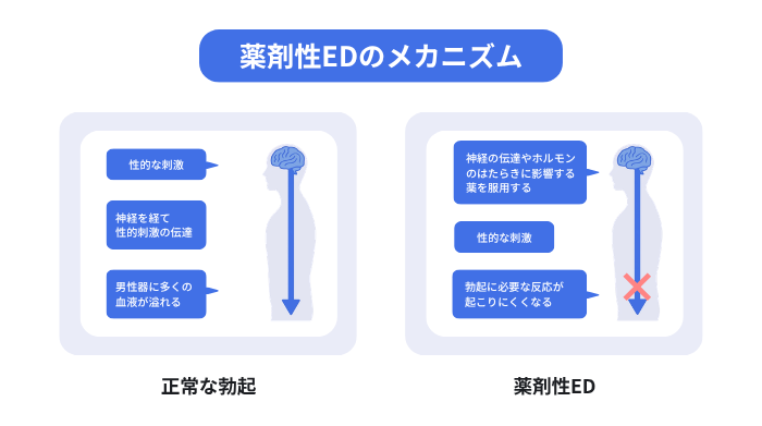 薬剤性EDのメカニズムとして、正常な勃起と薬剤服用時に神経伝達やホルモンへ影響が及び勃起に必要な反応が起こりにくくなる状態を比較した図解。のイメージ