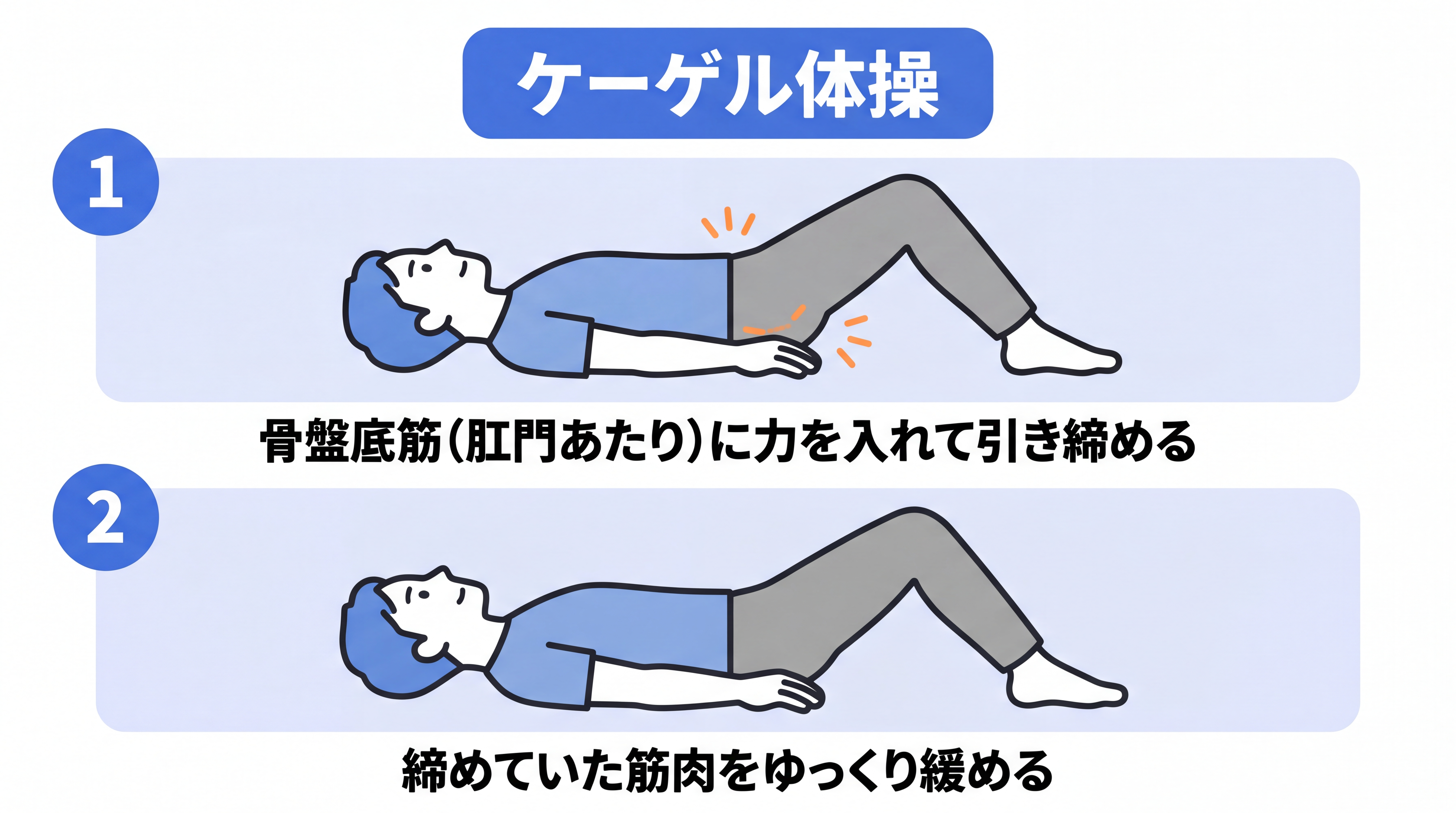 ケーゲル体操(骨盤底筋トレーニング)のやり方を示すイラスト。①肛門あたりの骨盤底筋に力を入れて引き締める、②締めた筋肉をゆっくり緩める、という2つのステップを解説している。