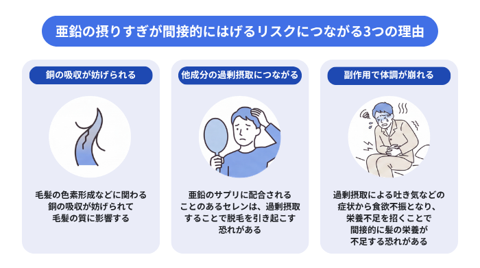 亜鉛の摂りすぎが間接的にはげるリスクにつながる3つの理由を解説したイメージ図。銅の吸収が妨げられて毛髪の質に影響する。亜鉛のサプリに配合されるセレンを過剰摂取することで脱毛を引き起こす恐れがある。亜鉛の摂りすぎによる吐き気などが影響して食欲不振になり、栄養不足を引き起こすことで間接的に髪の栄養が不足する恐れがある。