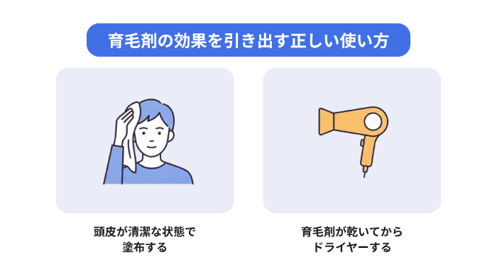 育毛剤の効果を引き出す正しい使い方として、頭皮が清潔な状態での塗布、育毛剤が乾いてからのドライヤー使用の2つのポイントを解説した図解。