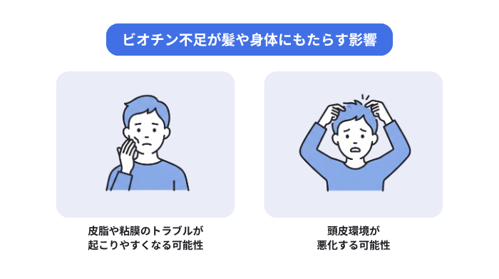 ビオチン不足が髪や身体にもたらす影響を解説。皮膚や粘膜のトラブルが起こりやすくなる可能性があること、頭皮環境が悪化する可能性があること。