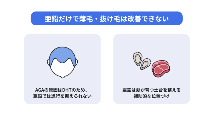 亜鉛だけで薄毛・抜け毛は改善できない(AGAの原因はDHTのため、亜鉛では進行を抑えられない。亜鉛は髪が育つ土台を整える補助的な位置づけ)