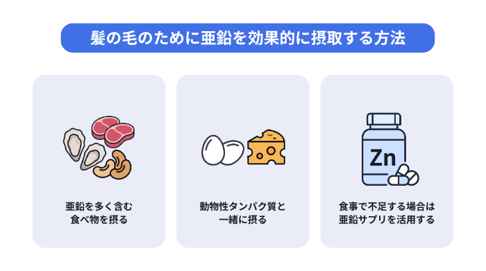 髪の毛のために亜鉛を効果的に摂取する方法(亜鉛を多く含む食べ物を摂る、動物性タンパク質と一緒に摂る 、食事で不足する場合は亜鉛サプリを活用する)