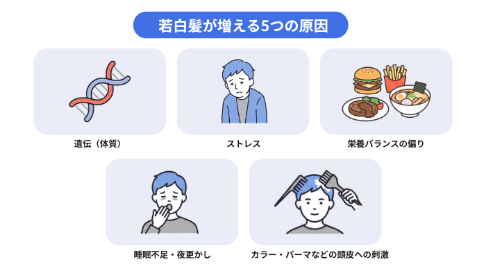 若白髪が増える5つの原因(遺伝、ストレス、栄養バランスの偏り、栄養不足、カラーやパーマなどの頭皮への刺激)