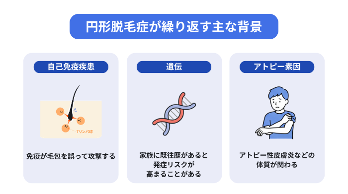 円形脱毛症が繰り返す主な背景(自己免疫疾患:免疫が毛包を誤って攻撃する、遺伝:家族に既往歴があると発症リスクが高まることがある、アトピー素因:アトピー性皮膚炎などの体質が関わる)
